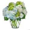 Blue and white hydrangea bouquet in a clear glass vase
