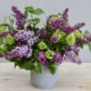 Lilac and green viburnum arrangement in a gray vase
