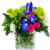 Low arrangement of blue irises, hot pink roses, green button mums and white flowers in a clear glass cube vase