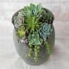 Select this ceramic planter filled with succulents. 
Approximately 8" tall by 5"