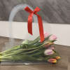 Pink and orange tulips in a clear gift sleeve with a red ribbon