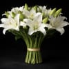 Casablanca Lily (Bulk) 
