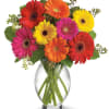 Colorful gerbera daisy bouquet in a clear glass vase