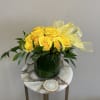 A dozen yellow roses in a modern styled shorter vase with greenery