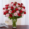 Our radiant long stem roses are the ultimate romantic surprise. 60 blooms