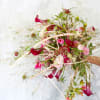This bouquet focus on 100% organic and sustainable material.  The bouquet