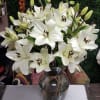 Beautiful Fresh Cut Bunch of White Lillies in Clear Vase 
