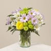 Pink daisies, white alstroemeria, and yellow roses in a glass vase.