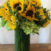 Sunflowers and green hydrangea in a tall vase.