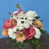 A cheerful white carnation puppy greets the recipient-an imaginative flower arrangement perfect