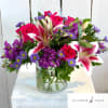 Stunning stargazer lilies with pink and purple blooms in a cylinder vase.