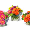 Let us create the perfect seasonal arrangement.  Let us know about