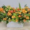 Orange Sunrise showcases orange ranunculus, tulips, and spray roses in a bed