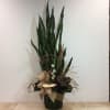 Tall snake plant arrangement in a dark pot with burlap ribbon and small white accents