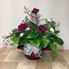 Bouquet of magenta and white carnations in a wrapped container with a white bow