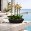 Low black bowl planter with yellow and pink orchids on a stone poolside ledge