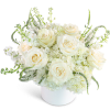 White roses and hydrangeas in a white vase