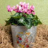 Celebrate Easter in full bloom with Easter Bunny Garden, a 6" cyclamen