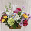 Hop into spring with this colorful basket featuring spray roses, Gerber daisies