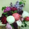 One dozen (12 stems) of peonies in a variety of colors, presented