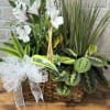 Basket planter with white alstroemeria and assorted green plants accented with a white ribbon bow