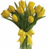 Arrangement of bright yellow tulips in a clear glass vase tied with a yellow ribbon bow.
