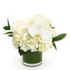 Low white rose, hydrangea, and orchid arrangement in a clear glass cylinder vase.