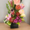 Tropical flower arrangement in a black container with pink and orange blooms