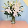 White lilies arranged in a clear glass vase