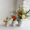 Beautiful blooms in shades of orange, yellow and white in a set
