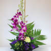 Purple orchids arranged in a black square vase with green foliage