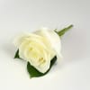 Single white rose boutonniere on a white background