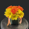 Bright, sun-soaked color takes center stage in this cheerful flower arrangement-perfect as