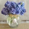 Round glass vase of purple and lavender hyacinths tied with raffia and a seashell accent