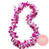 Single strand of pink and white orchid lei arranged in a loose oval on a white background