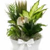 A peaceful assortment of green plants arranged with a graceful angel figurine