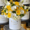 Round hatbox arrangement of yellow roses, white orchids, hydrangeas, and small daisies in a white box.