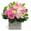 Gorgeous Roses and Sweetheart Roses arranged with star of Bethlehem, lisianthus and