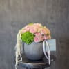 A graceful arrangement of blush spray roses paired with fresh green hydrangea