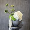 A modern floral arrangement featuring white and green hydrangeas paired with sculptural