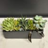 Succulent arrangement in a rectangular gray planter with a ribbon