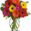 Mixed bright gerbera daisies in red, orange, yellow, and pink arranged in a clear glass vase