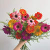 A whole field of daisies right at your fingertips.

*Vase not included