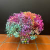 Compact arrangement of rainbow-dyed tiny blooms in a patterned square container