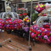 (Chandelier included by client in the example picture)(No Chandelier included)
($300 per arrangement)