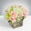 Low wedding centerpiece of pale pink roses, green hydrangeas, and orchids in a clear glass cube vase.