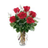 Six red roses with white filler flowers arranged in a clear glass vase