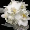Stunning mini orchids with hyacinth accents