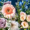 Pastel bouquet with peach gerbera, roses, white mum, and blue flowers on a dark background
