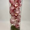 Tall cylinder vase with a single stem of pink cymbidium orchids and a green leaf-wrapped base